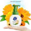 Chao Neng Foam Antibacterial Hand Soap