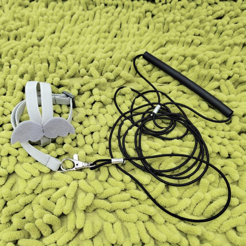 Papagei Vogel Fliegendes Zugseil Verstellbare ultraleichte Geschirrleine mit bequemem Griff