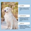 Pet Universals Toothpaste Tooth Set Pet Orals Health Pet Nighttimes Orals Care for Plaque Removal and Odor Control