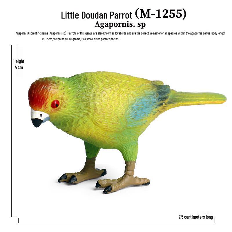 Children's Static Wild Animal Bird and Parrot Figure Set