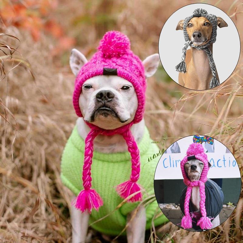 Pet Dog Winter Knitted Warm Hat Head Windproof Hat With Cute Wool Braids Outdoor Snow Protectio Warm Hat Pet Knitted Accessories