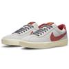 Nike Bruin React SB 'Photon Dust Canyon Rust' Men's CJ1661-003