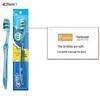 Crest Soft Bristle Colorful Family Toothbrush Set