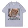 I Am Definitely Up To Something Funny Cat Meme Tshirt High Street Fashion Trend Women Casual Harajuku Short Sleeve Casual