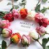Fire Roasted Burnt Edge Rose Romantic Floral Decoration New Photography Props