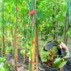 Plant Tying Machine, Lightweight Plant Tying Tape Tool To Tie Up Vine Quickly,  Tie Up Vine Tomatoes and Grapes Quickly Garden T