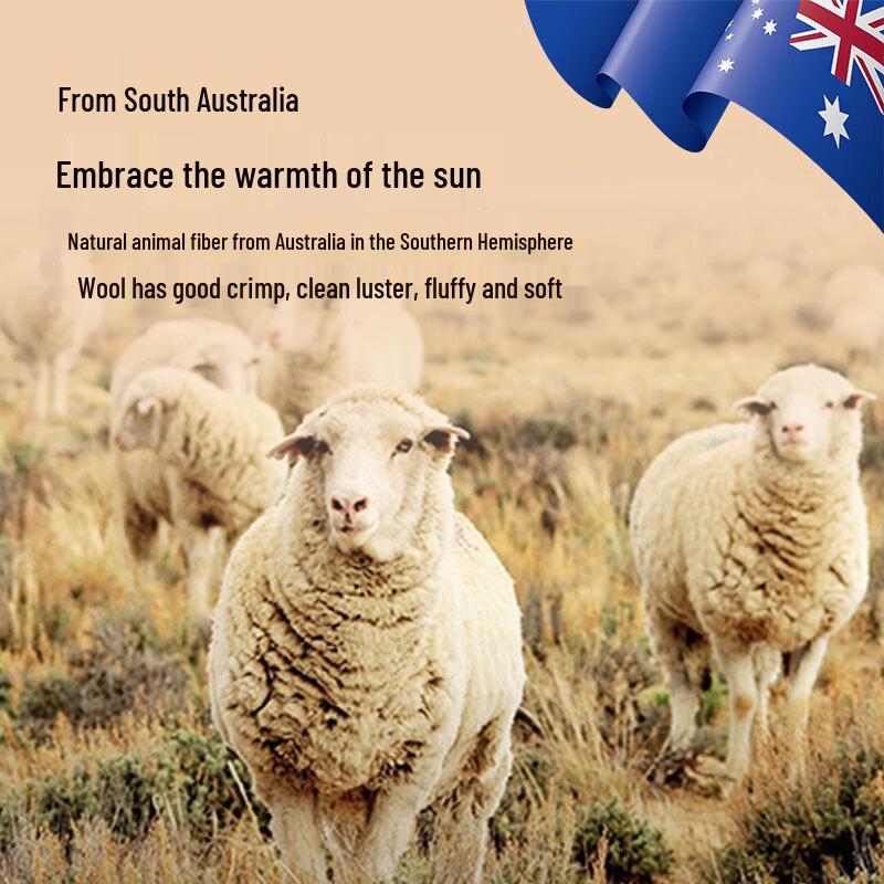 JD HuiXun 100% Australian Wool Quilt