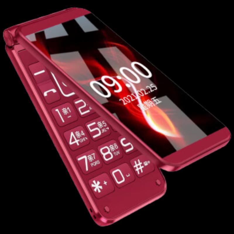 Newman F11 4G Telefon Komórkowy Klapka (Wersja CN)