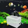 Viskweekbak met Zuignap Aquarium Uitbroedbak Gaasbak Jonge Vis Separatienet Tank Incubatorbox Fry Kweekbak