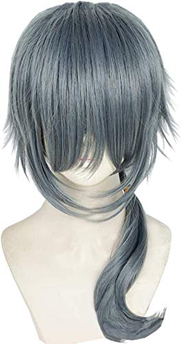 Cosplay Wig ES Crazy B Heat Resistant Wig Halloween (Shiina Niki)
