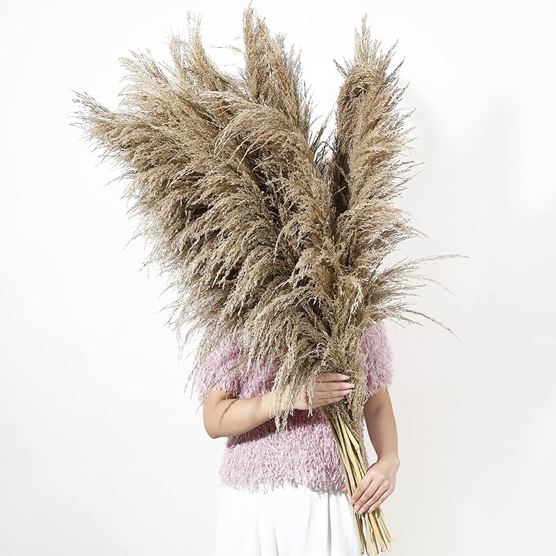 9 Stems Pampas Grass Decor Tall 48''/4 FT, Long Fluffy Dried Pompas Grass, Large Pampas Grass for Floor Vase, Rustic Wedding, Baby Shower, Party,