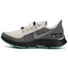 Air Zoom Pegasus 35 Run Shield 'Oil Grey' Damskie AA1644-100