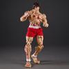 Baki Hanma Actionfigur mit Kampfschäden, beweglichen Gelenken, austauschbaren Köpfen und Händen, in Box, Anime-Modell, auf Lager, für Sammler