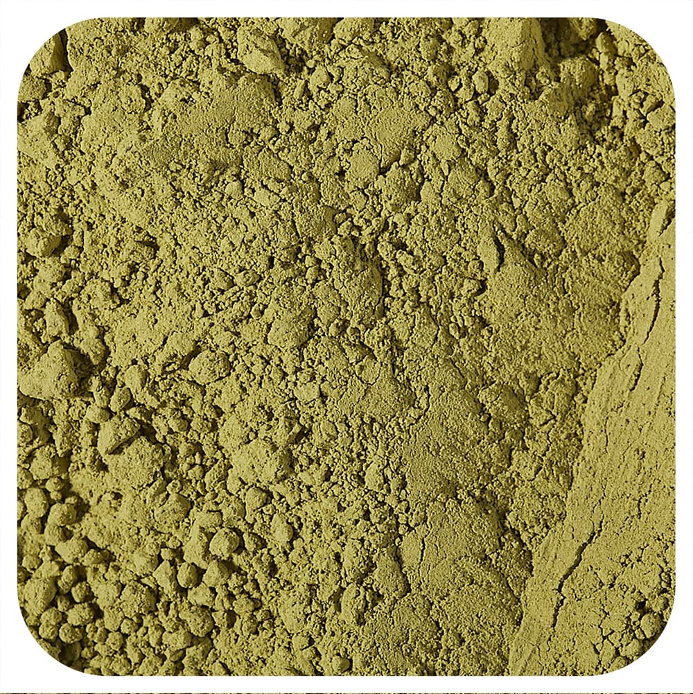 Starwest Botanicals Organic Matcha Powder 453.6g (1lb) 453.6g - 1 ea