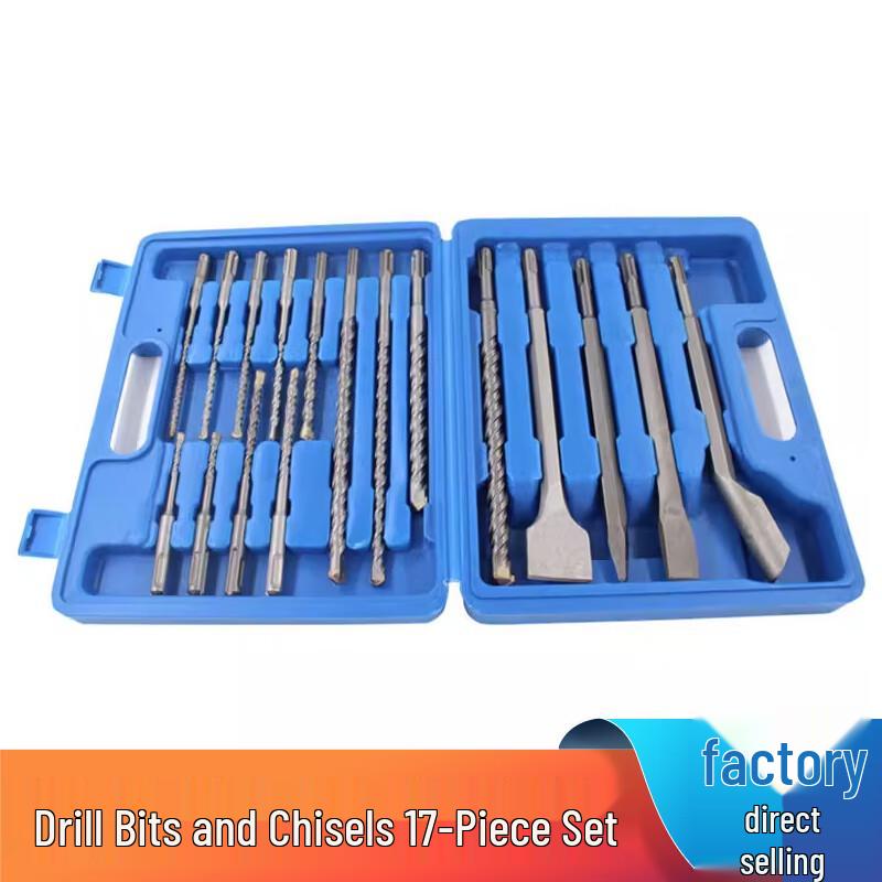 Deqi Rotary Hammer Drill Bit & Chisel Set