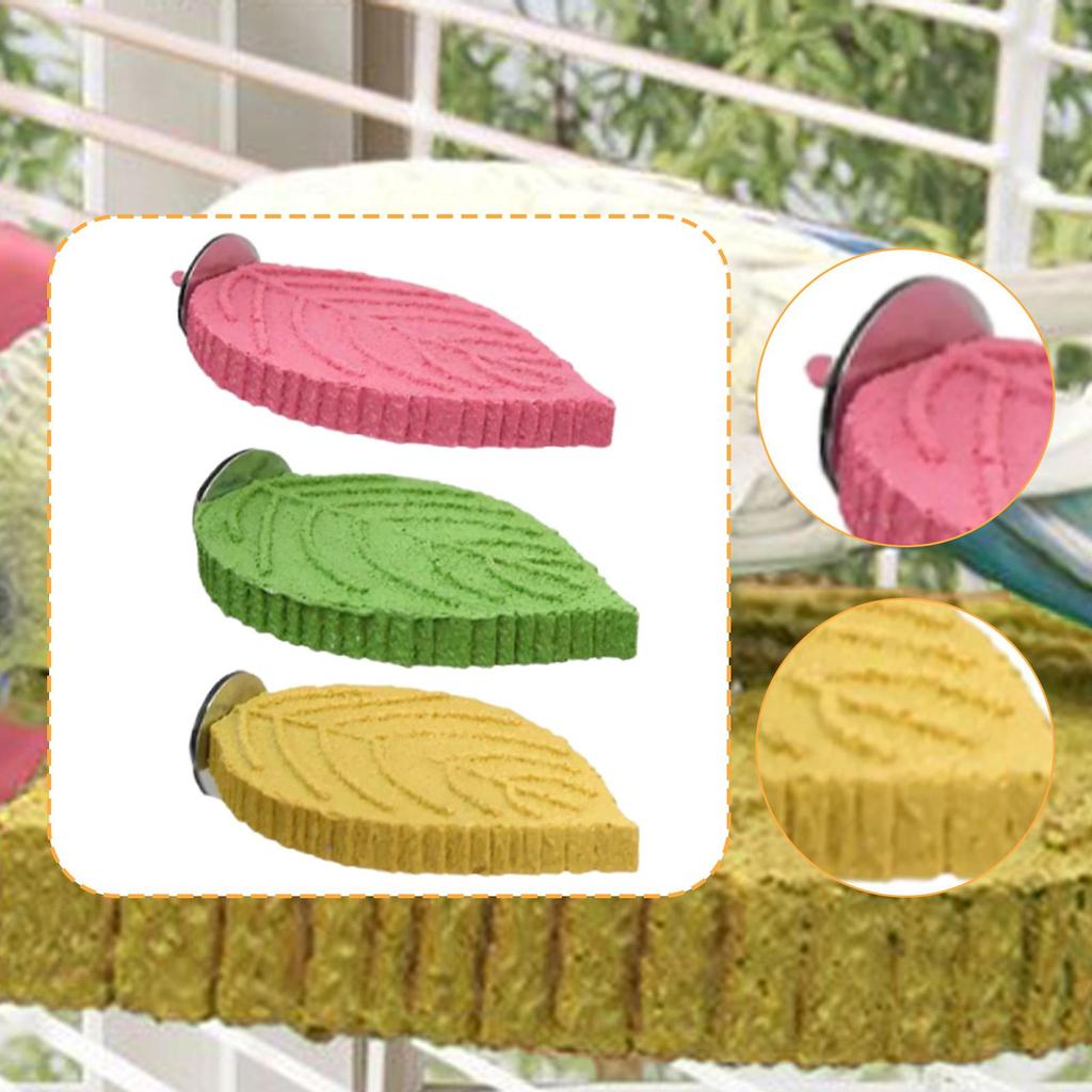 Pet Parrot Perch Supplies Paw Grinding Stick for Conures Finches Small Bird