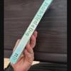 How To Steal a Dog / Barbara O'Connor : English Novel