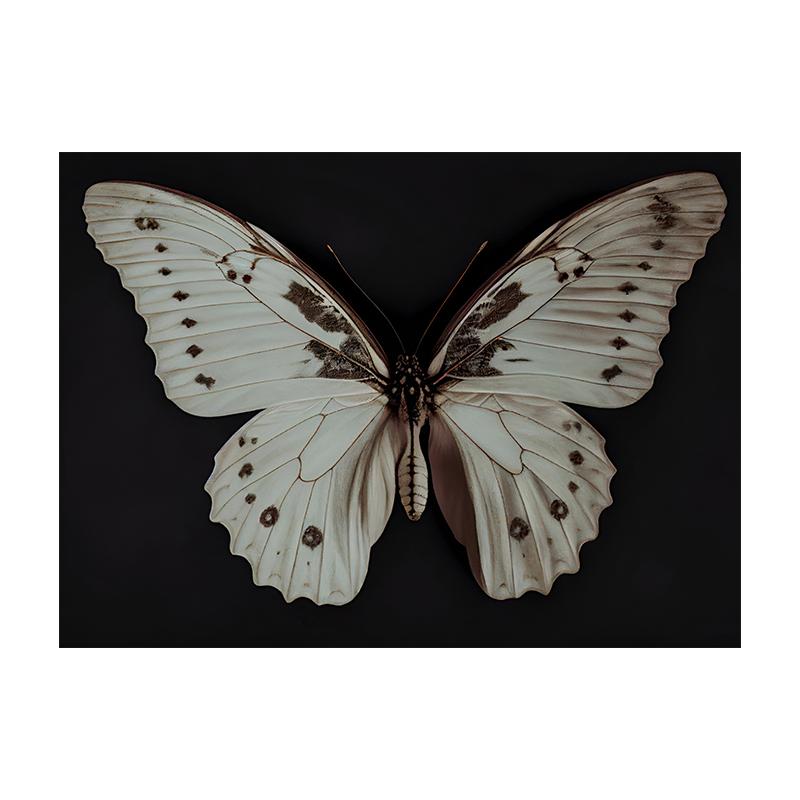 Vintage Fjäril Mal Svamp Konsttryck Insektscen Canvas Målning Poster Mörka Bilder Vardagsrum Hem Väggdekor Cuadros