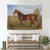 Vintage Horse Tapestry Wild Horses Tapestry Wall Hanging Farm Animal Horse Running Western Landscape Tapestries for Bedroom