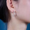 Big Earrings S925 Silver Earrings Moissanite Earrings Ear Jewelry