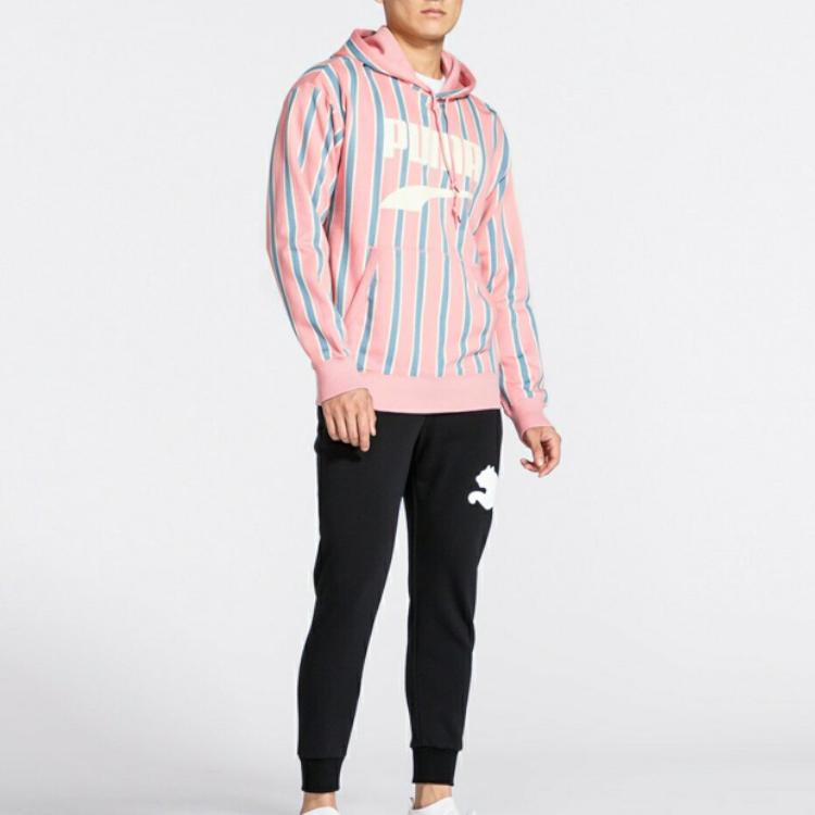 Puma Downtown PO Graphic Hoodie Men Hoodies Pink 596004-14