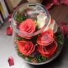 Thailand Red Rose Preserved Flower with Glass Cover – Valentine's and Christmas Gift