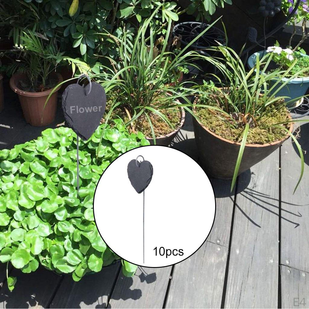 Labels 10Pcs Signs Garden Markers Slate for