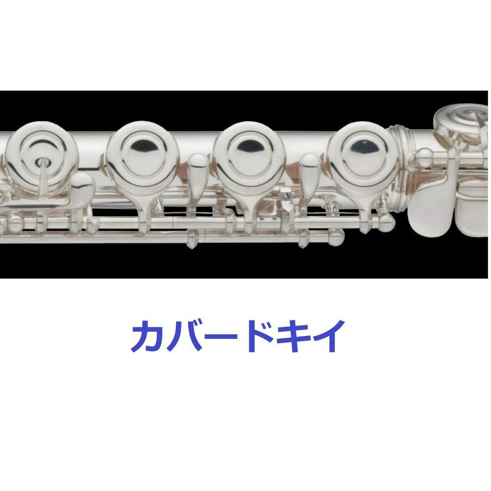Yamaha Flute YFL-312