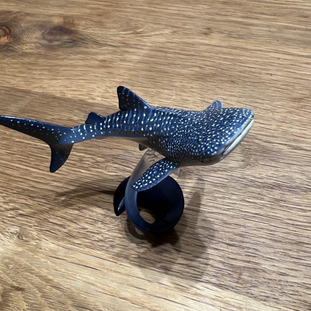 

[USED] Kaiyukan Museum: Whale Shark
