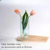 Ins Vase Ornament Acrylic Vase Simple Decoration Transparent Flower Vase Living Room Dining Table Hydroponic Flower Planter