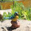 Charming Resin Bird Figurines for Home and Garden Decor