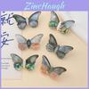 Shell Butterfly Brooch Handmade Craft With Dual Use For Fashion Accessories