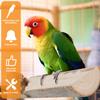 2-10Pcs Bird Perch Stand Wood Parrot Perch Toy Multi-role Training Play Stand Platform Practical Cage Accessories Bird Supplies