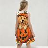 Girls Round Neck Sleeveless A Line Flared Hem Dress Halloween Raccoon Pumpkin Printed