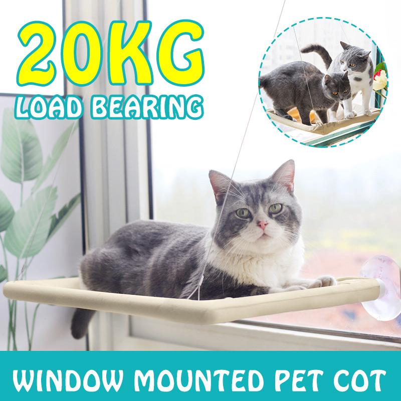 cat window mount