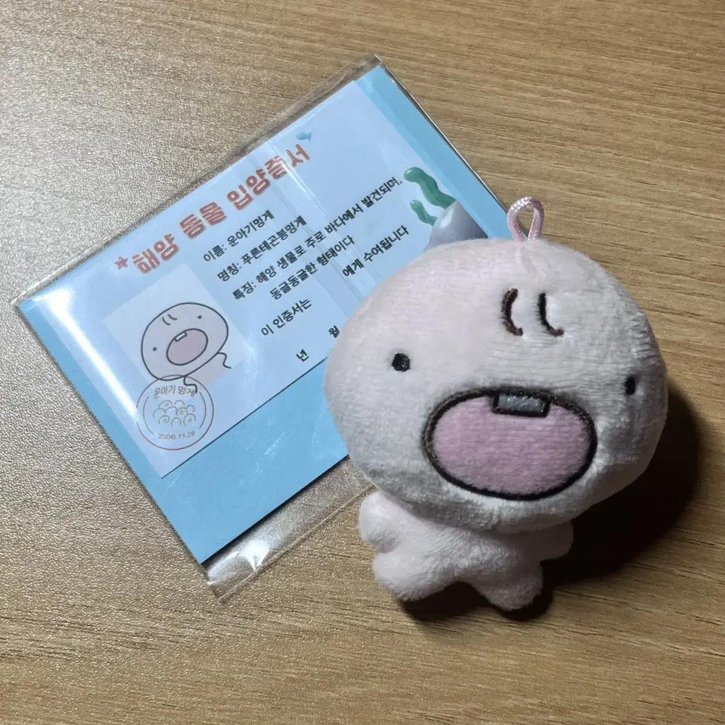BOYNEXTDOOR Unhak Yunji Doll 