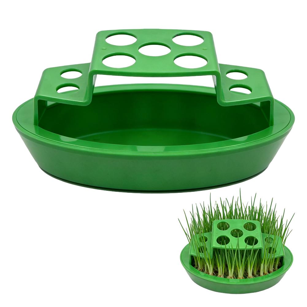 Hydroponic Box Hydroponic Plant Grower Automatic Watering Hydroponic Chives Planter Recyclable Regrowth Box For Home Kitchen