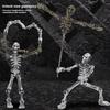 Lightweight Sturdy Articulated Skeleton Figurine Movable Joint Skeleton Toy  Desk Decor