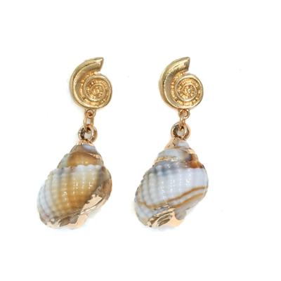 Boucles d'oreilles en forme de coquillage Léger Alliage de zinc Accessoires Pour Mariages Voyages Tenues Décontractées
