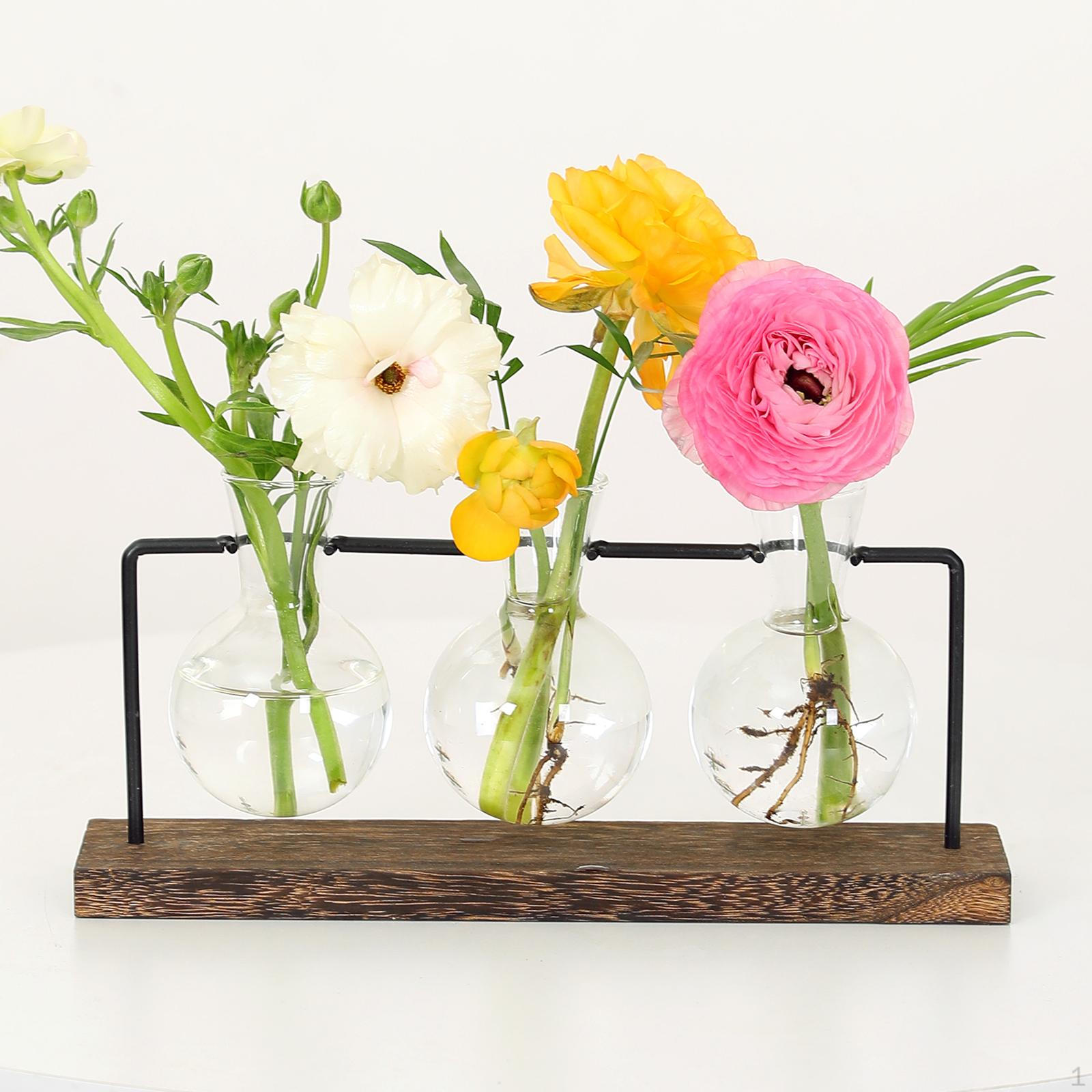 

Plant Terrarium, Glass Planter with Wooden Stand Tabletop Bulb Vase Holder Rack 3