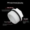 PPR External Thread Pipe Plug