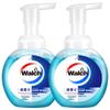 Walch Foaming Hand Wash