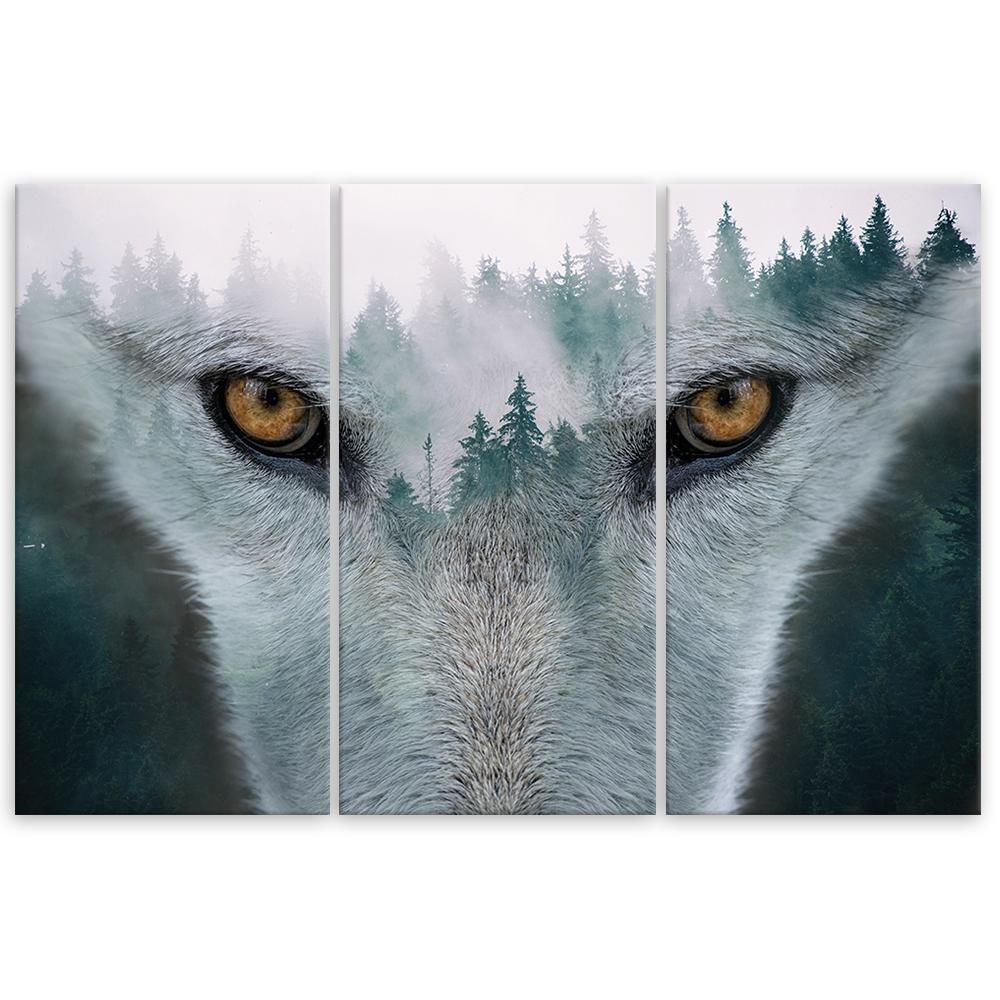 Three Piece Picture Canvas Print Wolf Forest Fog Nature Trees