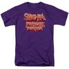She-Ra Princess Of Power Masters Of The Universe Licensed Adult T-Shirt