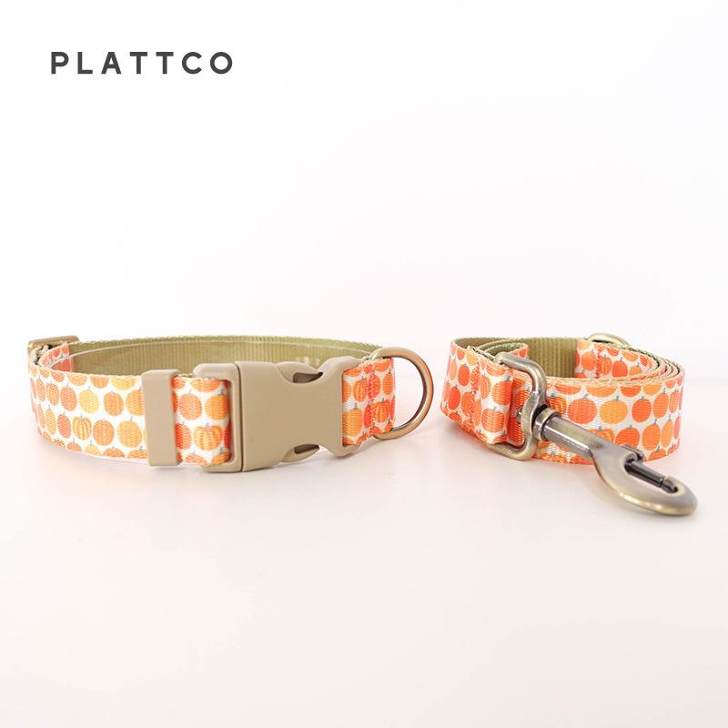 Plattco Pumpkin Pet Leash & Dog Collar Set PDC367 S