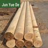 Junyuede Solid Pine Training Log