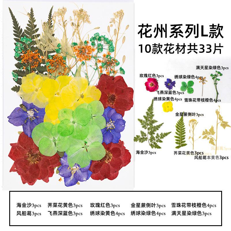 Natural Dried Flowers Pack For Diy Resin Pressed Flower Art