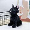 11.8" Coraline Katze Plüschtier, Die Schwarze Katze Plüsch Stofftier Kissen Puppe Katzenspielzeug Plüschtiere Geschenk für Fans Jungen Mädchen