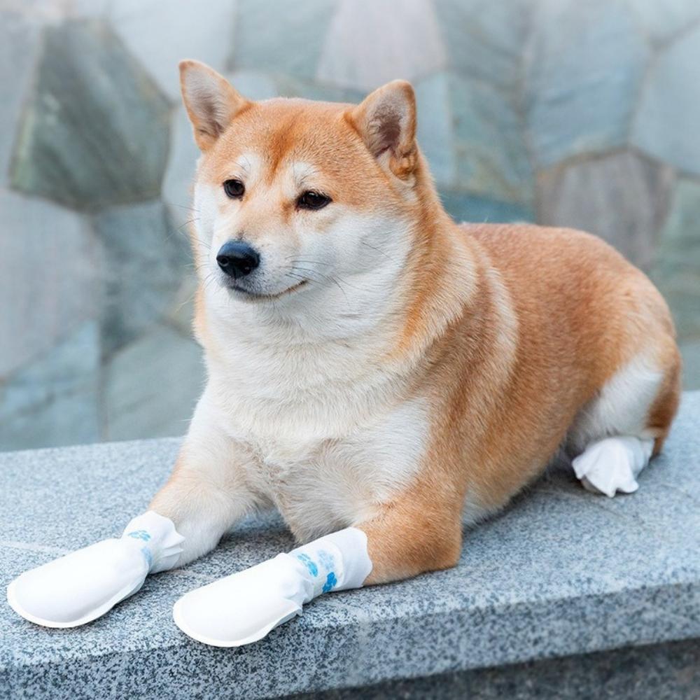 20pcs Pet Dog Disposable Shoe Covers Dog Outdoor Anti Dirt Foot Covers Walking Dog Socks Waterproof Anti Slip Shoes Pet Supplies