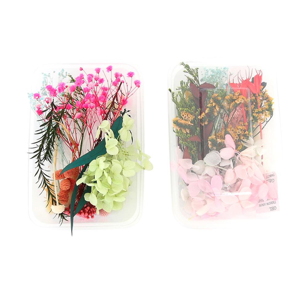 Real Dried Flowers Leaves Set Crafts Art Mixed Multiple Flower for Candle Resin for Jewelry Pendant Making Craft DIY Accessories